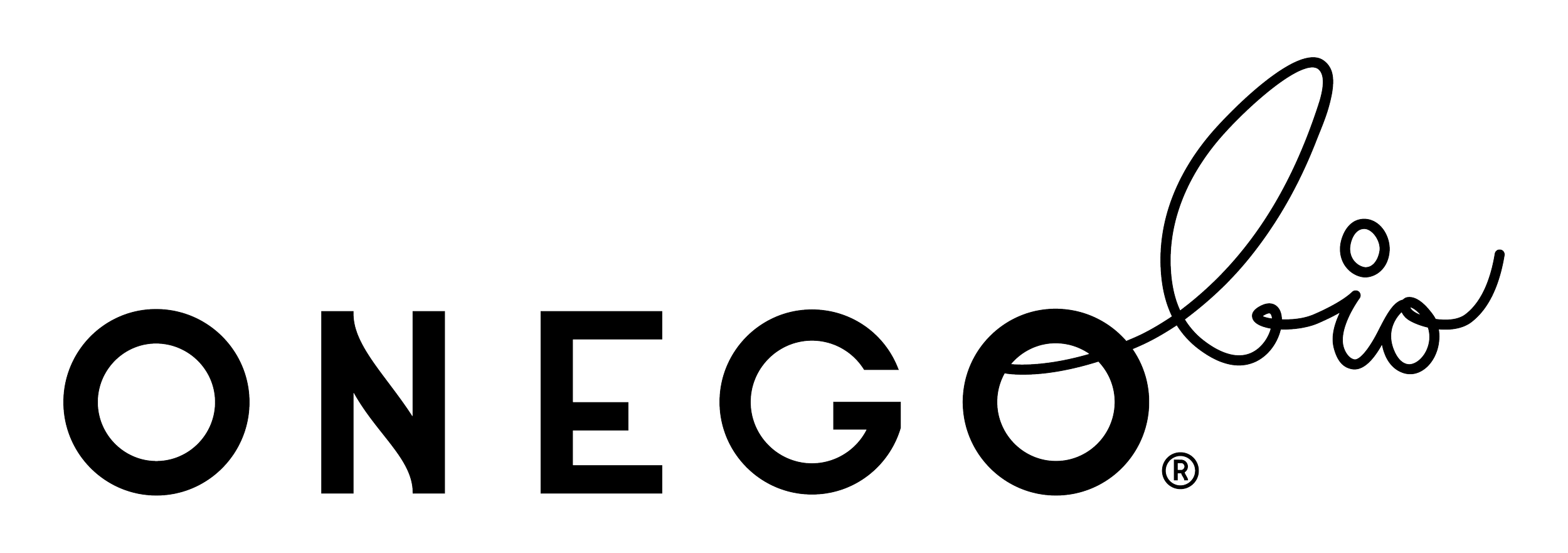 Partner Logo.