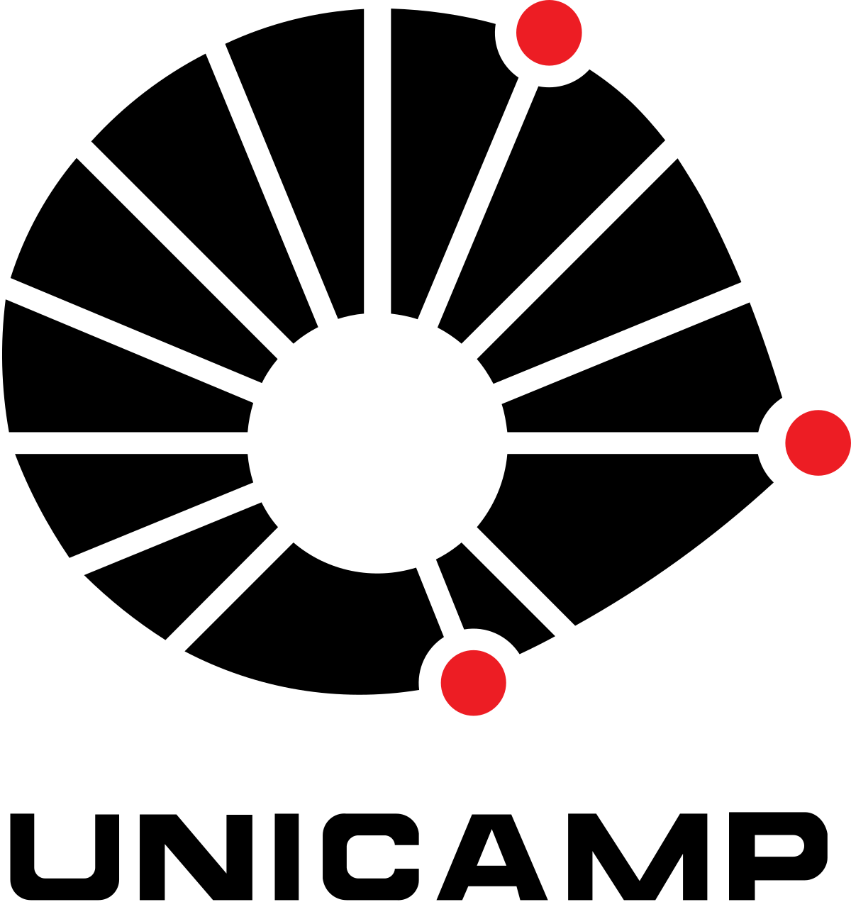 Partner Logo.