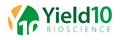 Partner Logo.
